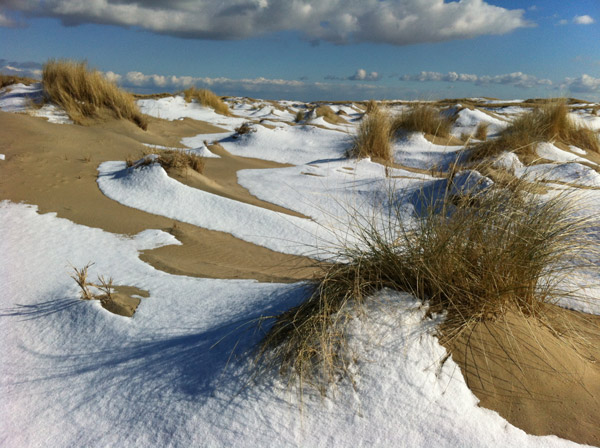 Winter Texel De Hors © Fiet van Beek
